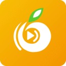 小蝌蚪视频在线观看完整高清免费版
