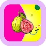 绿巨人聚合app入口官网版