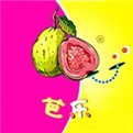 fp2水果派电影解说